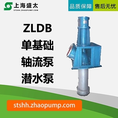 ZLDB系列单基础轴流泵清水泵轴流潜水泵