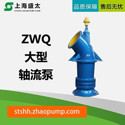 ZWQ系列大型轴流泵清水泵轴流潜水泵