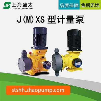 J(M)XS计量泵