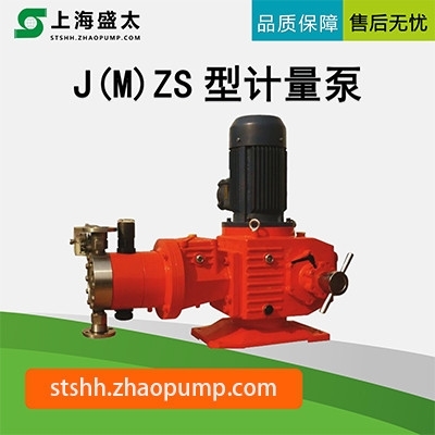 J(M)ZS计量泵