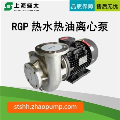 RGP热水热油离心泵