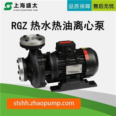 RGZ热水热油离心泵