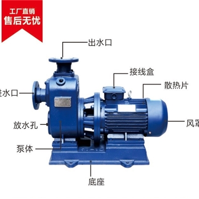 ZX自吸泵管道自吸泵离心式水泵ZX自吸化工泵抽水泵循环泵
