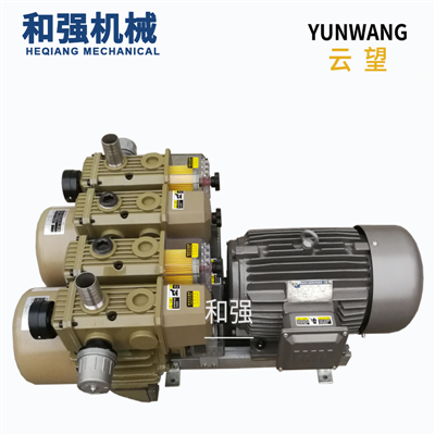 云望出售YUNWANG云望WZB120-P-VBB-03无油复合型真空泵每小时120立方