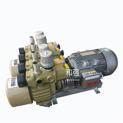云望出售YUNWANG云望WZB120-P-VBB-03无油复合型真空泵每小时120立方
