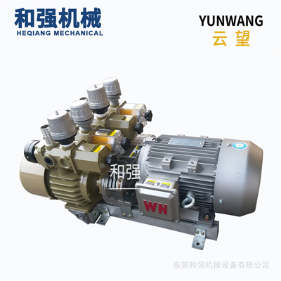 云望WZB120-P-VBVB-03 贴膜机 覆膜机 等自动机械用真空泵