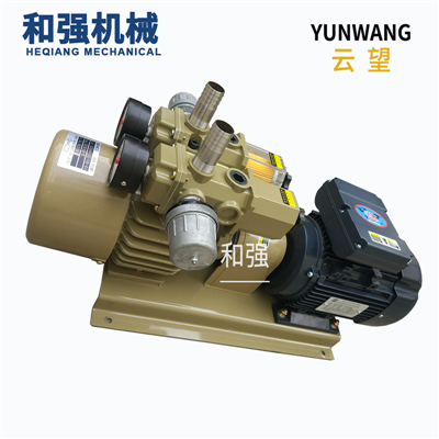 云望经销YUNWANG云望WZB25-P-V-03压膜机制袋机包装等自动化机械用泵