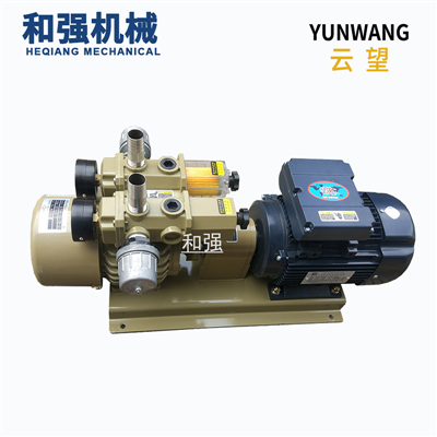 云望经销YUNWANG云望WZB25-P-V-03压膜机制袋机包装等自动化机械用泵