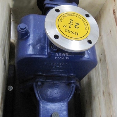 自贡ZWFB无密封自吸泵自控自吸泵排污泵