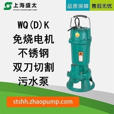 WQ(D)K污水污物潜水电泵