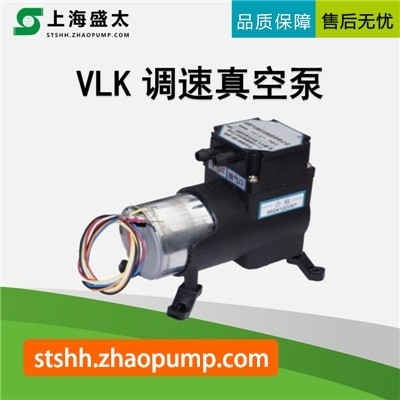 VLK微型调速真空泵