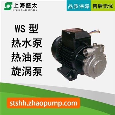 WS热水/热油旋涡泵盛太水环