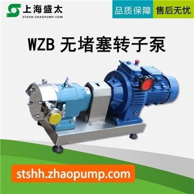 WZB无堵塞转子泵盛太水环