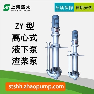 ZY离心式液下渣浆泵单级双吸立式单壳体渣浆泵