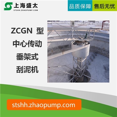ZCGN 型中心传动垂架式刮泥机
