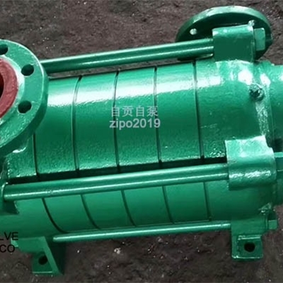 自贡自泵水泵ZD卧式多级离心泵