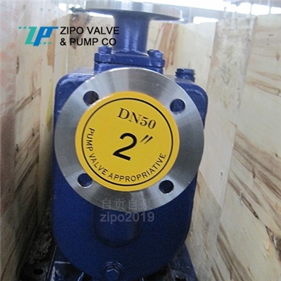 自贡自泵ZZW无堵塞自吸泵铸铁电动排污泵