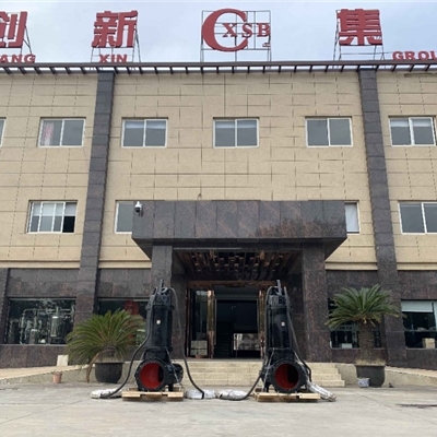 上海创新水泵大流量排污泵、大口径污水处理厂专用泵