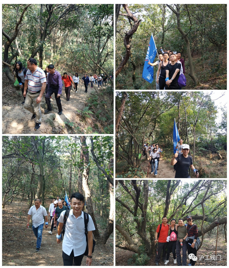 201910220957575049.jpg 201910220957575049.jpg