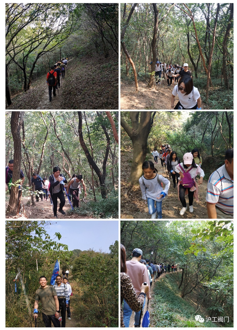 201910221000438324.jpg 201910221000438324.jpg