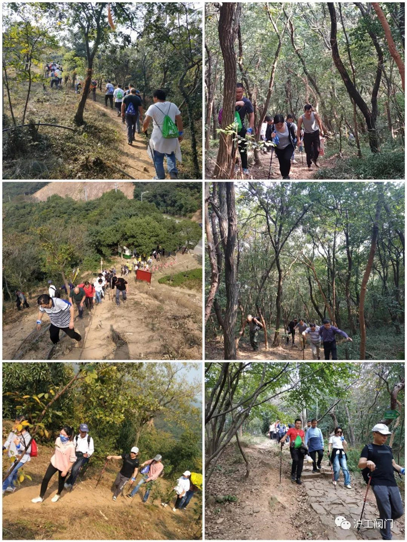 201910221001513025.jpg 201910221001513025.jpg