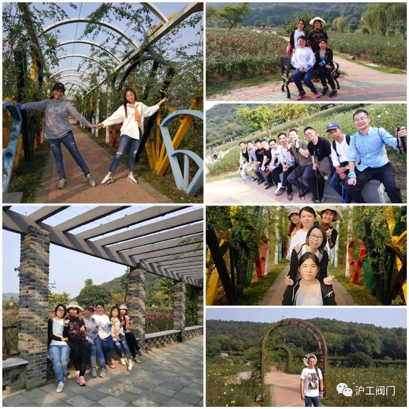 201910221002126589.jpg 201910221002126589.jpg