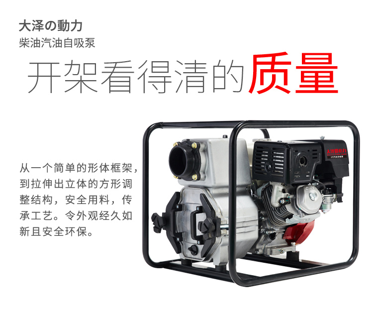 大泽动力柴油汽油水泵1