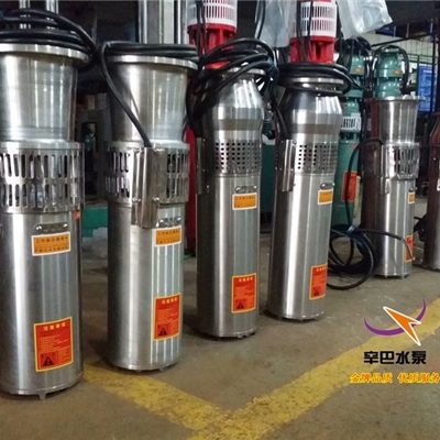 喷泉泵 喷泉水泵 喷泉专用泵 不锈钢喷泉泵 景观泵