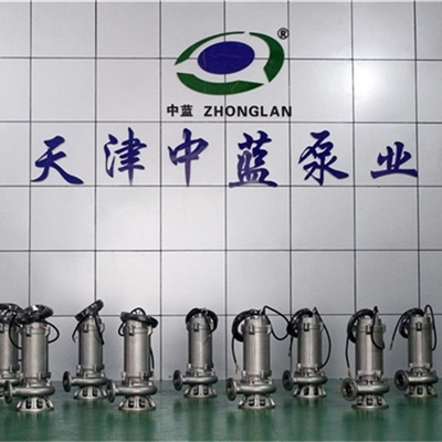 WQ（D）全不锈钢精密铸造污水污物潜水电泵大量现货