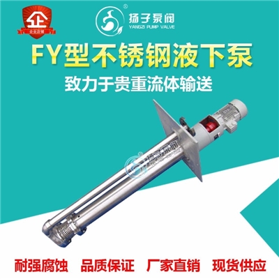 FY型不锈钢液下泵耐腐蚀液下泵