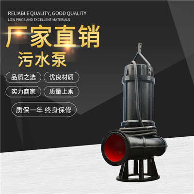 WQ潜水排污泵 专业水泵生产厂家