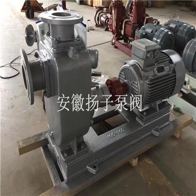 ZW型无堵塞自吸排污泵不锈钢自吸泵污水泵