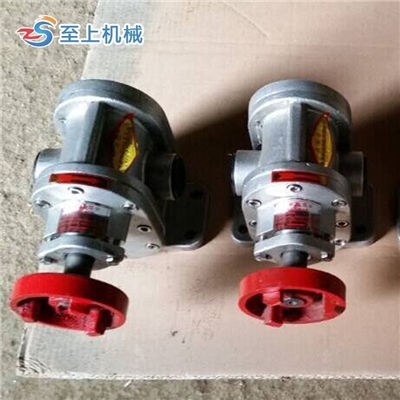 厂家直销2CY齿轮泵 不锈钢高压齿轮泵欢迎选购
