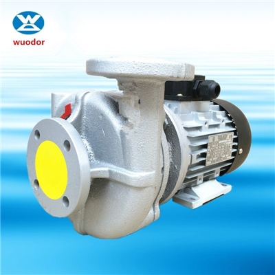 涡流 高温循环泵 供应设备热油循环泵