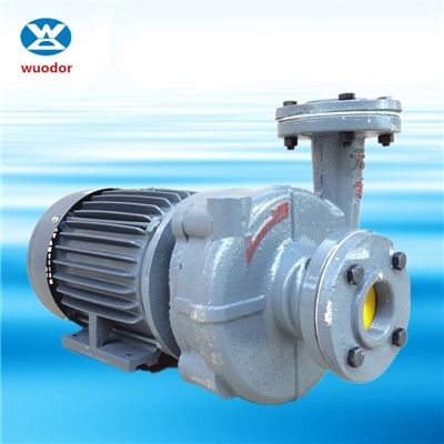 涡流 高温循环泵 供应设备热油循环泵