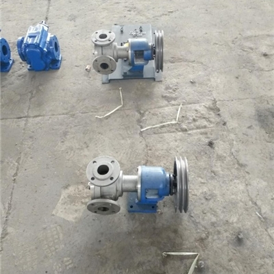 石家庄转子泵发货NCB-3/0.3型高粘度泵