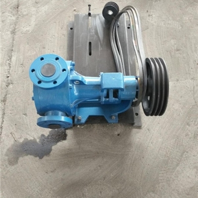 沧州高粘度泵哪家好-宏润泵业NCB-30/0.5型不锈钢高粘度内齿泵