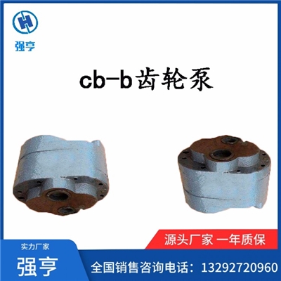 优质厂家强亨生产cb-b齿轮泵