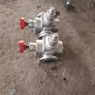 福建豆油酸泵-宏润泵业YCB-30/0.6型不锈钢圆弧齿轮泵