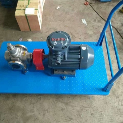 大庆不锈钢化工泵-耐腐蚀齿轮泵-宏润YCB-20/0.6型圆弧齿轮泵