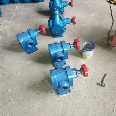 沧州宏润牌增压喷射泵-现货2CY-4.2/2.5型不锈钢齿轮泵