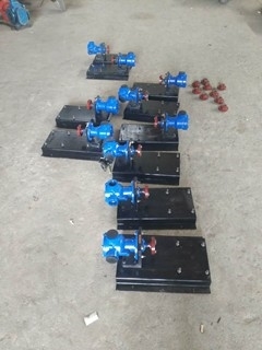 宏润牌小流量转子泵-高粘度化工泵-NYP-0.78型不锈钢高粘度转子泵