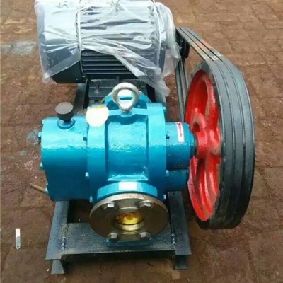 304材质LC-38/0.6型罗茨泵-沧州宏润泵业有限公司