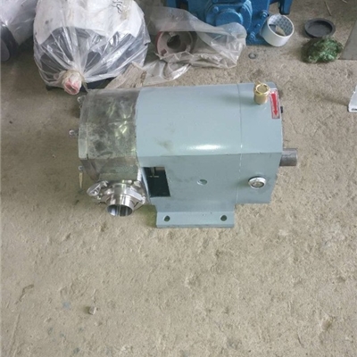 宏润牌热豆浆泵-流量参数TLB-5/0.6型不锈钢凸轮泵