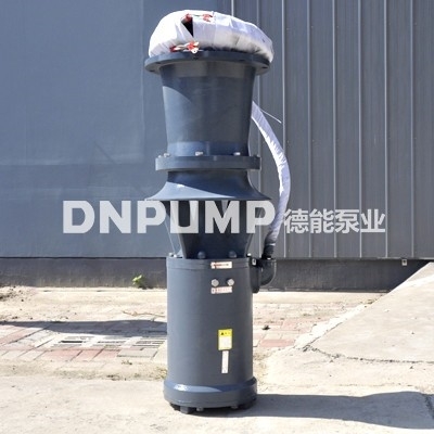 民生工程用QZB潜水轴流泵
