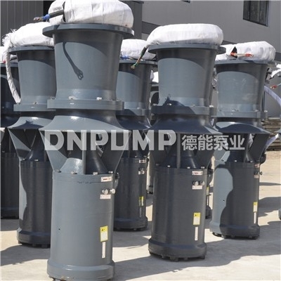 民生工程用QZB潜水轴流泵