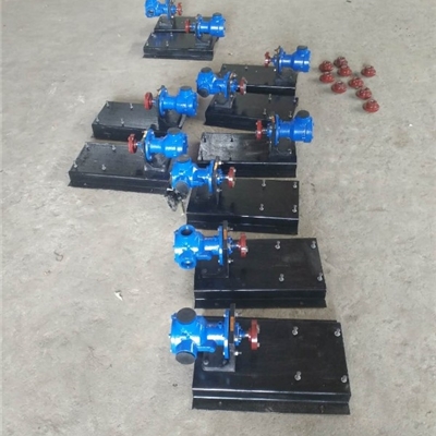 内蒙发货整机2台-产品型号NYP-3/1.0型不锈钢高粘度转子泵