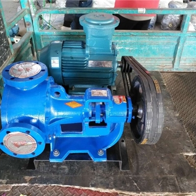 沧州宏润泵业高粘度泵厂家-现货NYP-320型高粘度转子泵