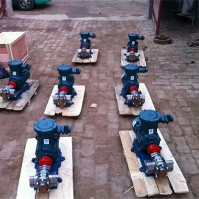 宏润泵业供应WCB-50型便携式齿轮泵-220V手提式输油泵