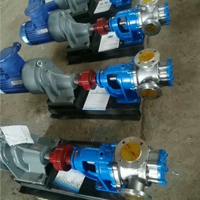 广东皮具厂采购1台高粘度泵-宏润牌型号NYP-220型不锈钢高粘度转子泵